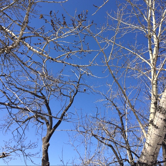 Meet your Posher, Ania - Picture 1 of 1